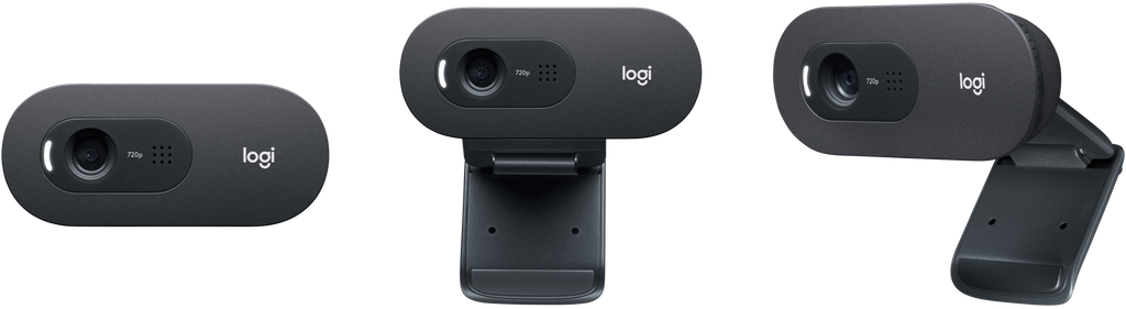 Logitech C505 HD Webcam