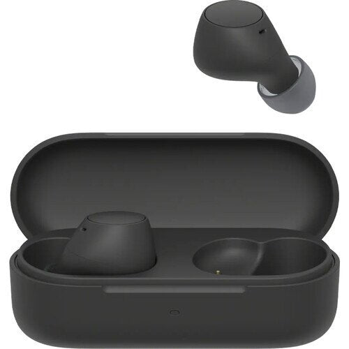 Sony WF-C510 Truly Wireless in-Ear Bluetooth Earbud