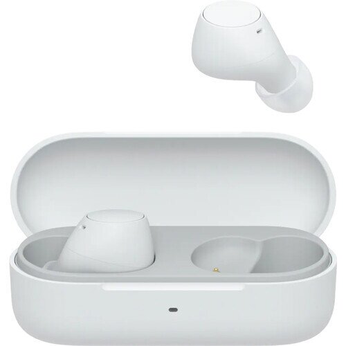 Sony WF-C510 Truly Wireless in-Ear Bluetooth Earbud